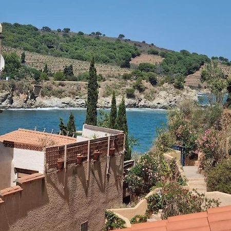 Studio Acces Direct A La Plage Banyuls-sur-Mer Extérieur photo